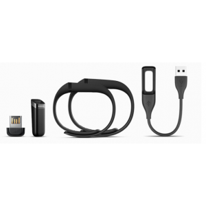 Купить браслет Fitbit Flex (Black)