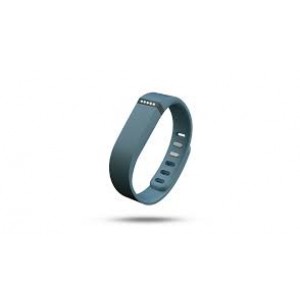 Купить браслет Fitbit Flex Slate